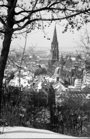 Freiburg: Münster vom Kanonenweg