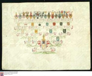 Ahnenprobe des August Philipp Joseph, Bruder des Karl Theodor Joseph v. Hacke. - ausgefertigt Pergament, vergl. lfde. Nr. 168