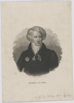 Bildnis des Georg Cuvier