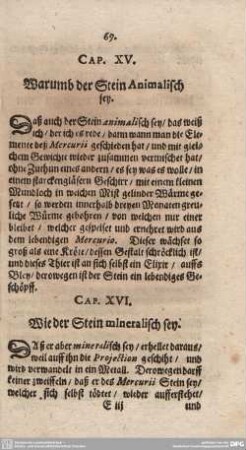 Cap. XVI. Wie der Stein mineralisch sey.