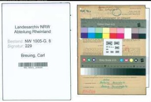 Entnazifizierung Carl Breuing , geb. 04.09.1893 (Monteur)