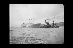 Dora Fritzen (1954), Tanker, Fritzen & Sohn, Bau-Nr. 268