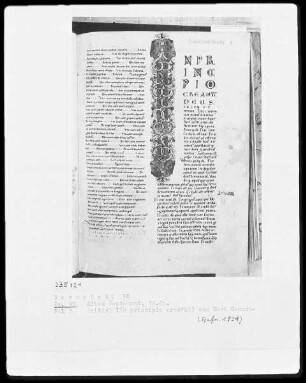 Vetus Testamentum — Initiale I (n principio creavit), Folio 5 recto