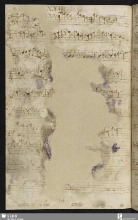 [Cesare, Giovanni Martino:] Jubilate Deo