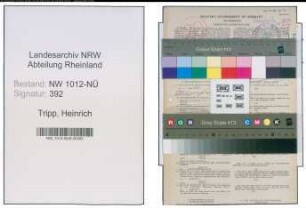 Entnazifizierung Heinrich Tripp , geb. 18.07.1890 (Gaertner)
