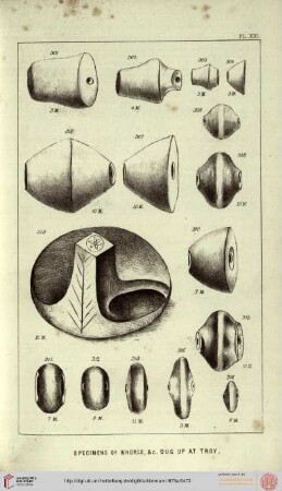 Plate XXI-LII