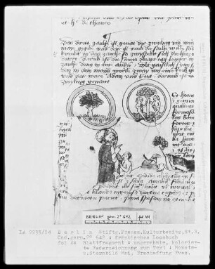 Fränkisches Losbuch — ---, Folio 44rectoBuchseite