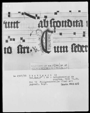 Antiphonarium de Sanctis (Dominikanerinnenhandschrift) — Initiale C (um) mit jugendlichem Kopf, Folio 10recto