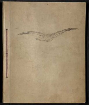 Sammlung von Zeitungsausschnitte der S.M.H. Möwe