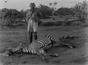 Karl Wien : Der Geograph Karl Wien (1906-1937) über einem erlegten Zebra