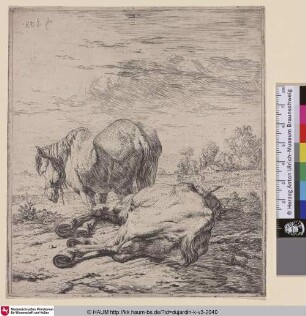 [The two Horses; Two Horses; Les deux chevaux; Zwei Pferde]