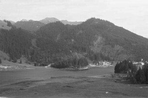 Spitzingsee: Blick vom erhöhten Westufer aus, Vordergrund Almwiese
