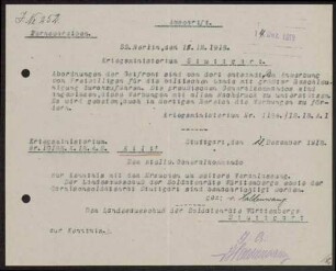 Grenzschutz Ost - Freiwilligen-Schneeschuhfahrer-Abteilung -Freiwilligen-Abteilung Haas: Aufbau und Organisation, Anwerbungen, Haltung des Landesausschusses und einzelner Soldatenräte