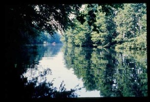 Finow-Kanal 24.6.83.