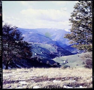 Schauinsland: Blick vom Schauinsland zum Feldberg, Vordergrund Wiese mit Schneetupfen