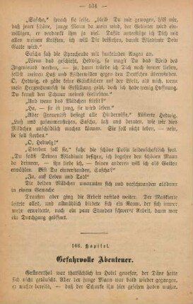 106. Kapitel. Gefahrvolle Abenteuer.