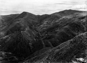 Cordillera de Sombreros : Quenua-Wälder gehen an den Hängen in Pinienwälder über.