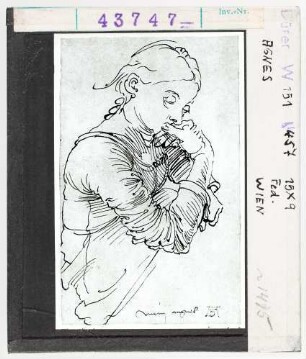 Albrecht Dürer: Agnes. Feder, um 1495 Wien.