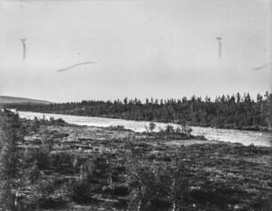Skandinavische Landschaft : Ein Fluss in einer schwedischen Landschaft mit Waldbestand am Ufer