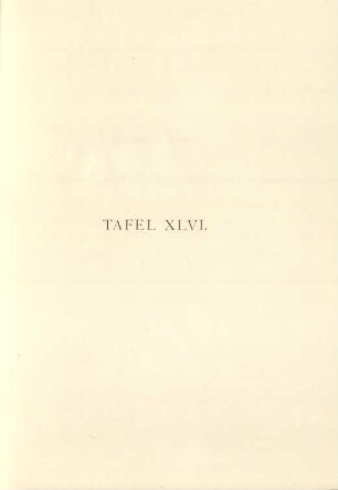 Tafel XLVI.