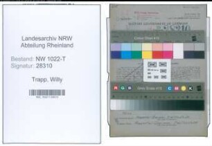 Entnazifizierung Willy Trapp , geb. 20.12.1902 (Maler)