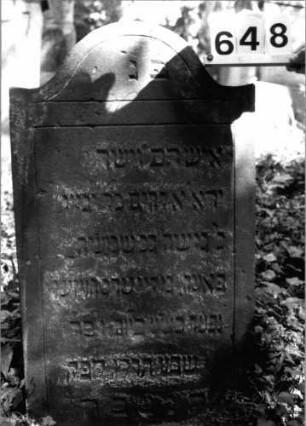 Grabstein 648 (Index: 99802959) Material: Sandstein Zustand: gut, leicht eingesunken Maße HxBxT: 94x54x11 cm Beschreibung: Stele mit Karniesbogen: Grabstein 648