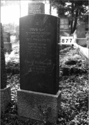Grabstein 877 (Index: 99802491) Material: Granit, poliert Zustand: gut Maße HxBxT: 189x61x16 cm Beschreibung: Sockel, Stele mit Flachbogenabschluß Besonderheit: Endreim: Grabstein 877
