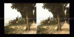 Zypressenallee Punta San Vigilio