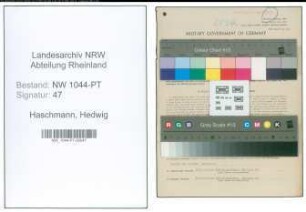 Entnazifizierung Hedwig Haschmann , geb. 02.10.1922 (Postangestellte)