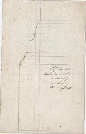 Voit, August von; Kirchheimbolanden; Synagoge - Subsellien - Profil (Detail)