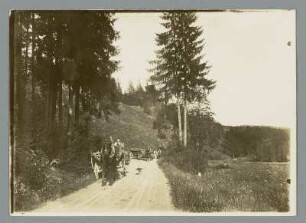 Im Frankenwald bei Burgk