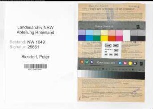 Entnazifizierung Peter Biesdorf , geb. 12.04.1908 (Bankangestellter)