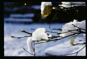 Winter 4.1.70.