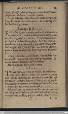 Auceps & Anguis