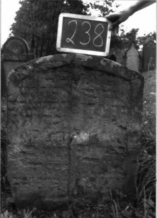 Grabstein 238 (Index: 100103256) Material: Sandstein Zustand: stark verwittert, weitgehender Textverlust Maße HxBxT: 83x67x9 cm Beschreibung: Doppelstele mit Segmentbogenabschluss, Schriftfeld eingetieft mit Mittelsteg: Grabstein 238