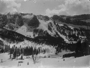 Gottesackerplateau : Bewaldete Karstberge bei Oberstdorf