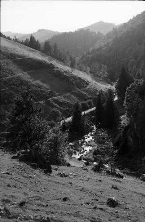 Stohren im Münstertal mit Straße und Fluss