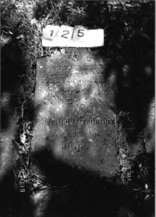 Grabstein 125 (Index: 99796449) Material: Sandstein Zustand: gut Maße HxBxT: 0x0x0 cm Beschreibung: Stele, Konvexbogenabschluß Symbolik: Blüte: Grabstein 125