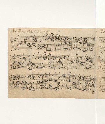 Helft mir Gotts Güte preisen; org; h-Moll; BWV 613