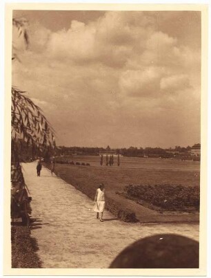 Stadtpark, Hindenburg: Rasenfläche umgebender Weg der Grünanlage