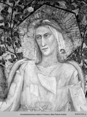 Vierungsgewölbe : Allegorie der Armut