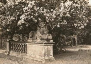 Sphinx, Schloss Joachimstein : Ehrenhof, Westliche Spinx, ca. 1,65 m