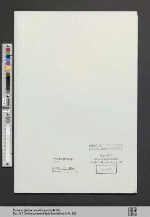 Rawitscher, Martha