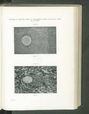 v=24,5 cm.