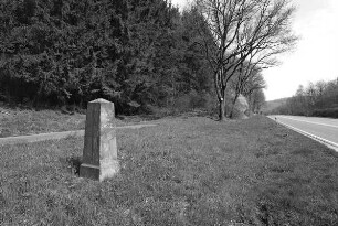Meilenstein (Meilenstein); Helsa, Dürre Wiese