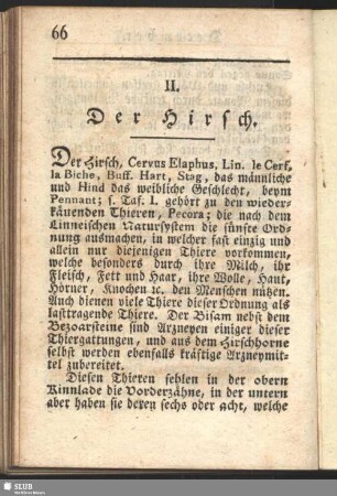 II. Der Hirsch