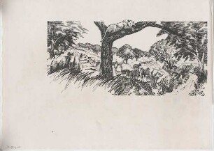 Hansjakob, Gottfried; Frankfurt am Main; Frankfurter Zoo - Tierhaltung im Zoo (Perspektive)