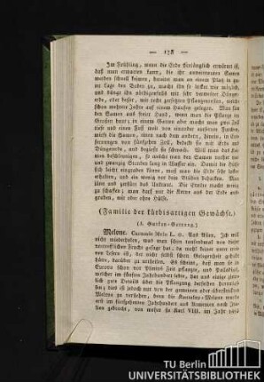 (A. Gurken-Gattung.)