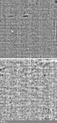 Löwe (steigend) mit Schwert / ES = S.21/22+97/98