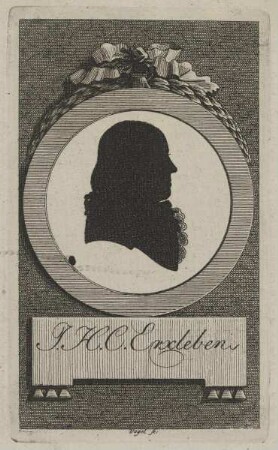 Bildnis des J. H. C. Erxleben